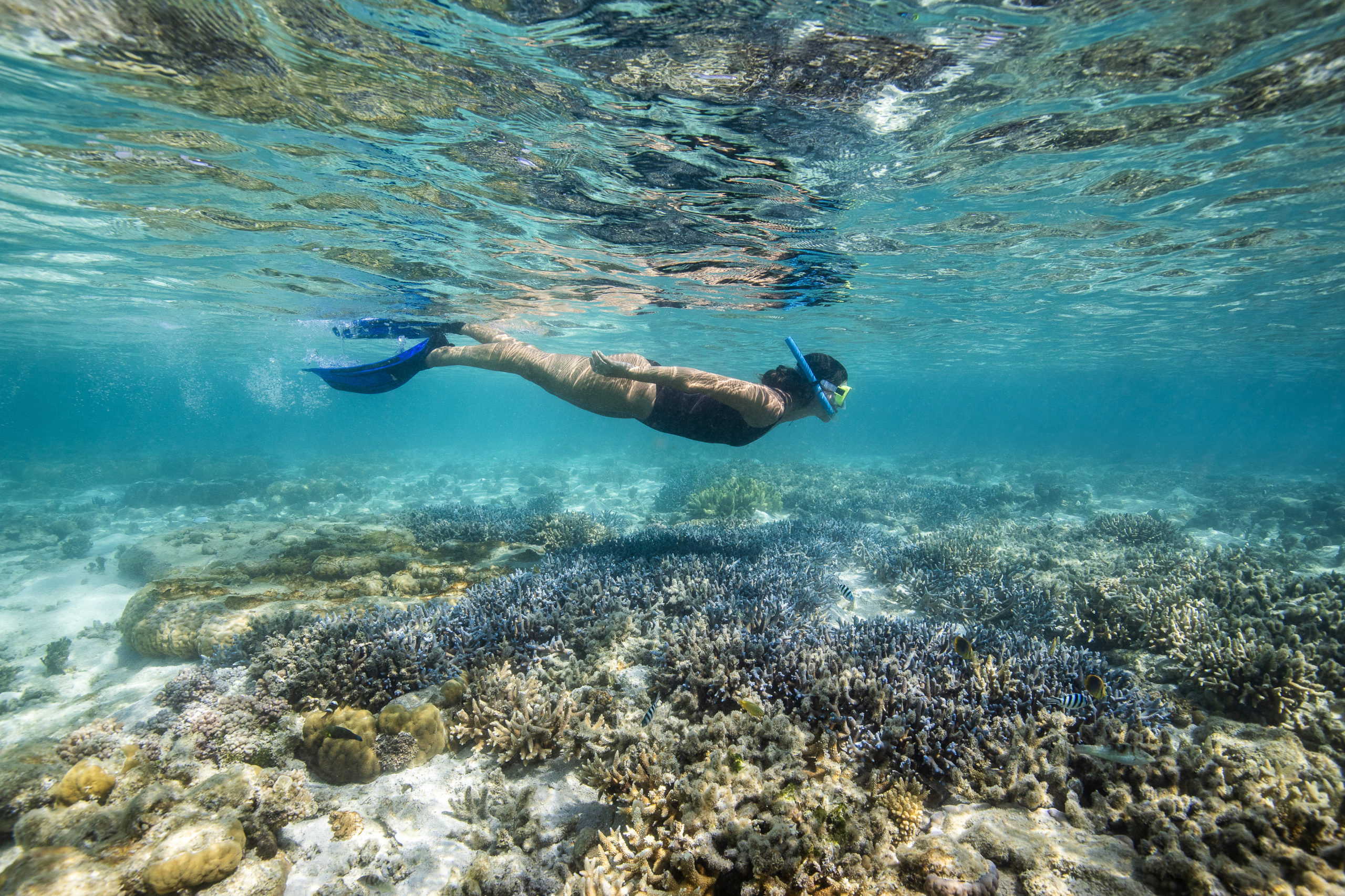 Snorkelling